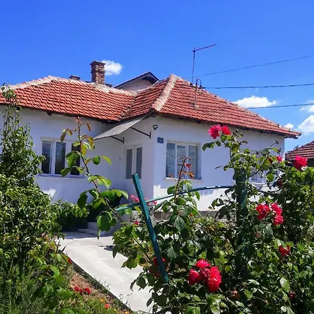 Breza 034 Arandjelovac